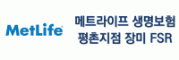 메트라이프 차수영